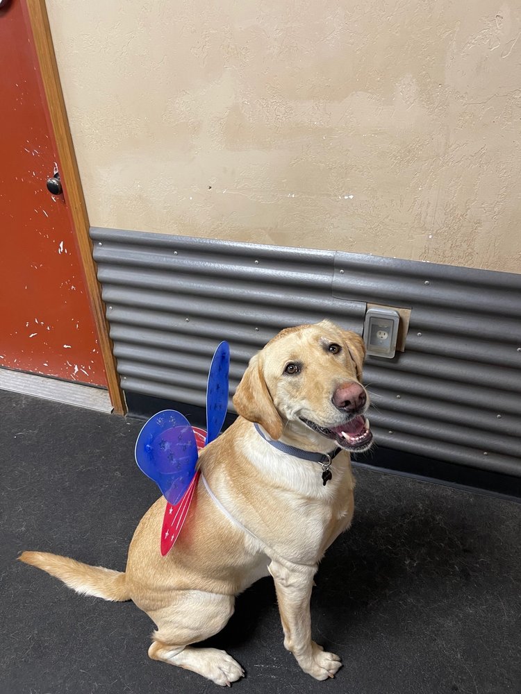 THE DOG HOUSE OKC Updated October 2024 5815 Melton Dr, Oklahoma