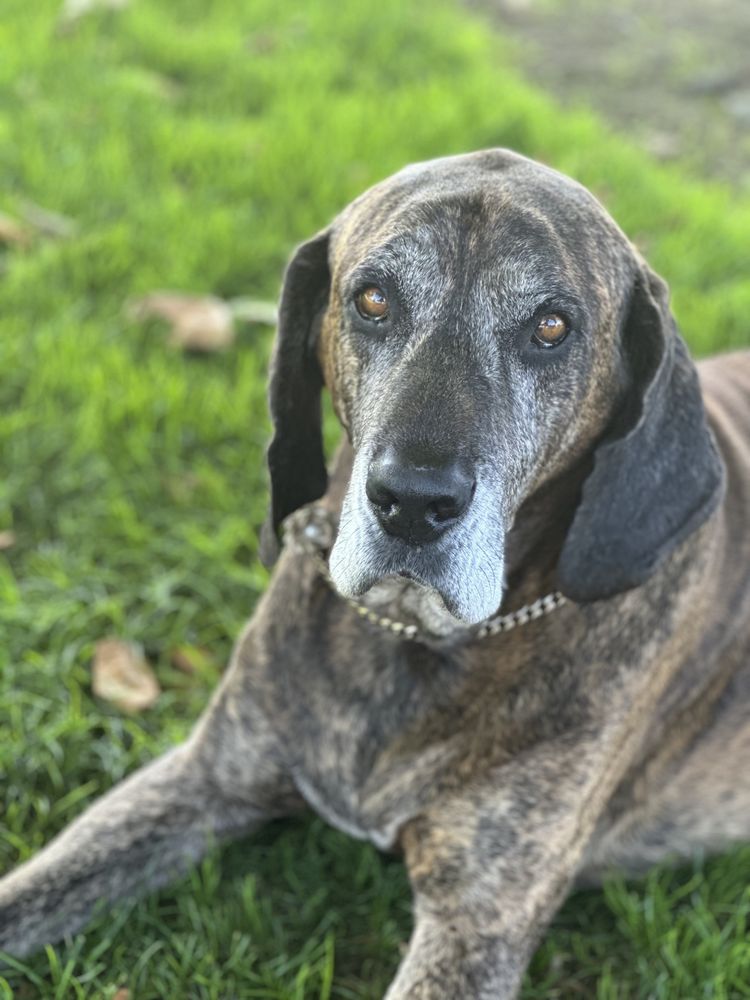 BUBBLE BUDDIES Updated September 2024 23 Photos Fortuna