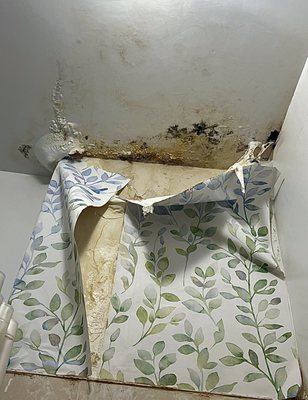 Langsam Property Services