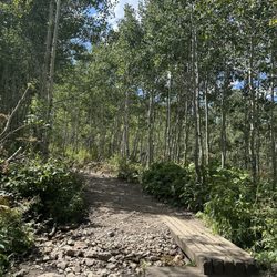 Red Pine Trail