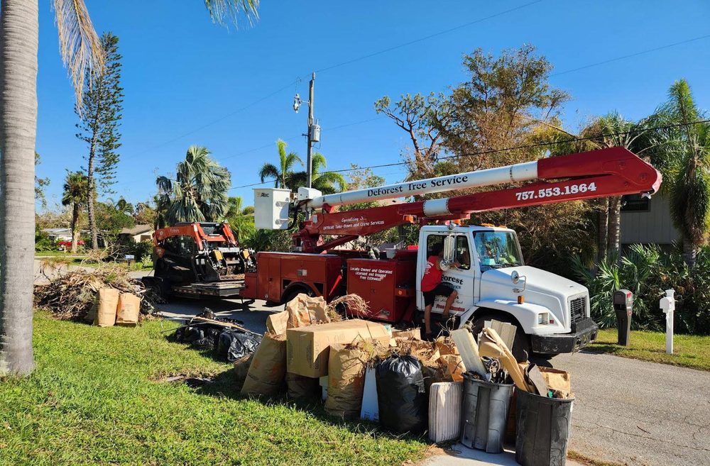 DeForest Tree Service - tree service in Virginia Beach, VA