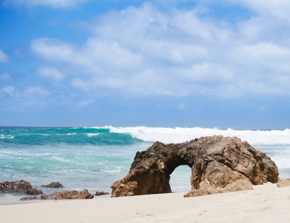 Cabo Surfer Logo