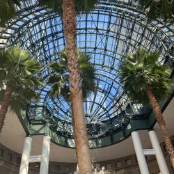 Winter Garden - Winter Garden