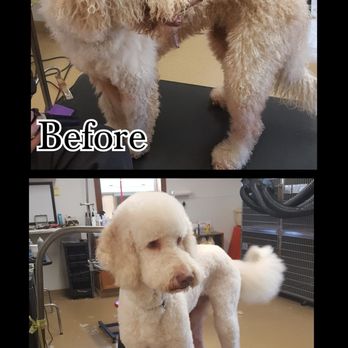 Mel's Paw Spaw - Pet Groomers Near Me Mel's Paw Spaw - Pet Groomers Near Me