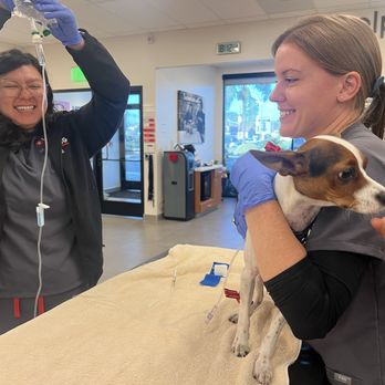 VEG ER for Pets - Emergency Pet Hospital Near Me - Costa Mesa, California VEG ER for Pets - Emergency Pet Hospital Near Me - Costa Mesa, California