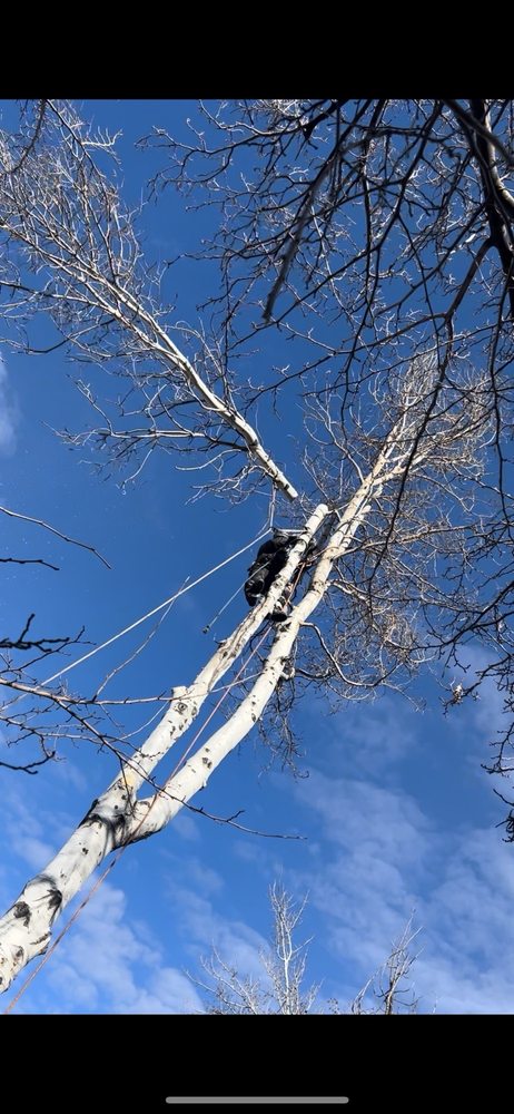 Eco Mex - tree service in West Valley City, UT