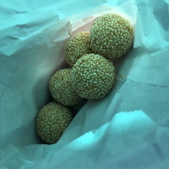 Dim Sum Cafe - Sesame Balls to-go cause I was too full to eat them there - Dim Sum Near Me - Mesa, Arizona
