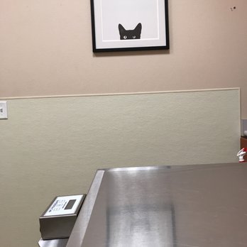 Armstrong Pet Hospital - Super clean. Plus I love this picture. - Veterinarians Near Me - Clovis, California