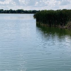 Rice Lake State Park