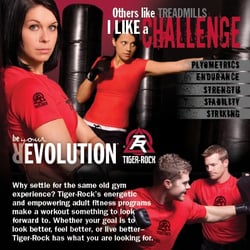 Tiger-Rock Martial Arts of Baton Rouge - Like a challenge?