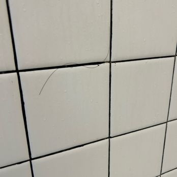 Kings Inn San Diego - Someone else's hair on the shower wall. - San Diego, CA