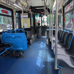 Chicago Transit Authority - 156 bus