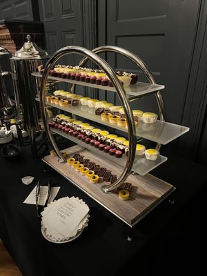 Harvard University by null