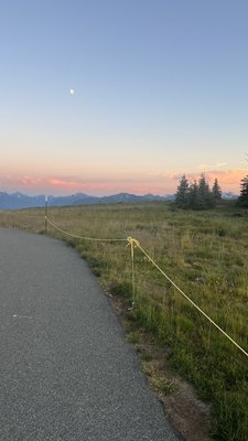 Hurricane Ridge by null
