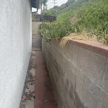 SD Pure Organics - Before - Landscaping Near Me SD Pure Organics - Before - Landscaping Near Me