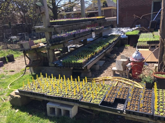 Garden Dreams Urban Farm & Nursery - Grow Pittsburgh by null