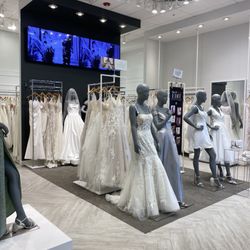 David's Bridal - Wedding dress display