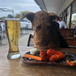 Simon eyeing the hot wings Simon eyeing the hot wings