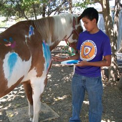 Horse Power Horse Camp, Lessons, and Trail Rides