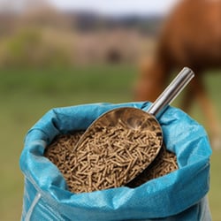 The Tack Shop