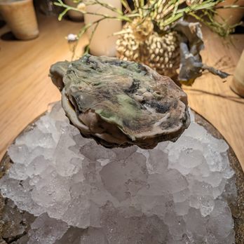 Noma - Sweet oyster. No, it's not an actual oyster, this is ice cream. Yes, all of it is edible! - Modern European Near Me - København Noma - Sweet oyster. No, it's not an actual oyster, this is ice cream. Yes, all of it is edible! - Modern European Near Me - København