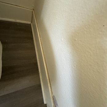 Riviera Property Management - They fixed the rotting floor but never bothered coming back to paint the trim they ruined installing the floor! - Property Management Near Me - Redondo Beach, California Riviera Property Management - They fixed the rotting floor but never bothered coming back to paint the trim they ruined installing the floor! - Property Management Near Me - Redondo Beach, California
