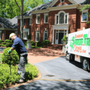 Schneider Tree Care