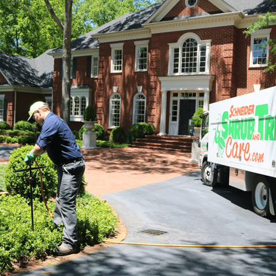 Shrub & Tree Health Care - Schneider Tree Care is dedicated to maintaining the health and vitality of your shrubs and trees through regular inspections, effective disease and pest management, and proactive treatments. Revel in the beauty of a thriving, disease-free landscape that adds beauty to your property. Shrub & Tree Health Care - Schneider Tree Care is dedicated to maintaining the health and vitality of your shrubs and trees through regular inspections, effective disease and pest management, and proactive treatments. Revel in the beauty of a thriving, disease-free landscape that adds beauty to your property.