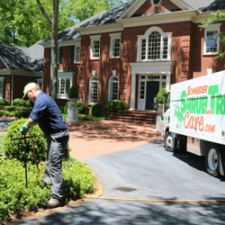 Schneider Tree Care