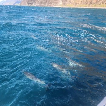 Capt Andy's - Spinner dolphin pod! - Boat Tours Near Me - Ele'ele, Hawaii