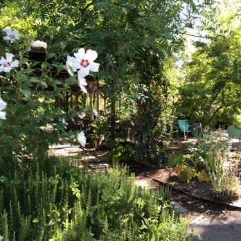 Flower Farm Cafe - Coffee & Tea Near Me - Loomis, California Flower Farm Cafe - Coffee & Tea Near Me - Loomis, California