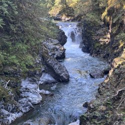 Little Qualicum Falls Provincial Park - Today's flow.