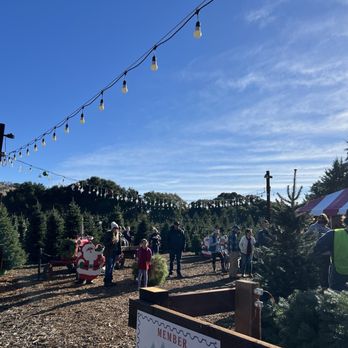 Alhambra Christmas Tree Farm - Entrance - Christmas Trees Near Me - Martinez, California