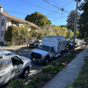 Willy's Tree Service - Tree Services Near Me