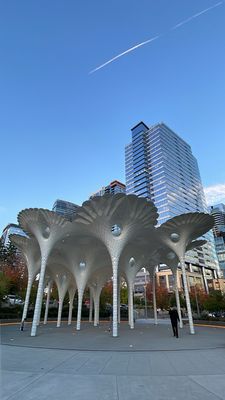 W Bellevue by null