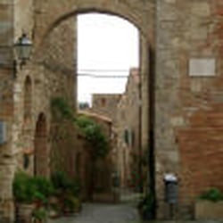 Bibbona