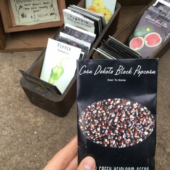 Flowers & Weeds - Seeds! - Florists Near Me - Saint Louis, Missouri Flowers & Weeds - Seeds! - Florists Near Me - Saint Louis, Missouri