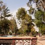 Photo of Plaza Luis Cabrera