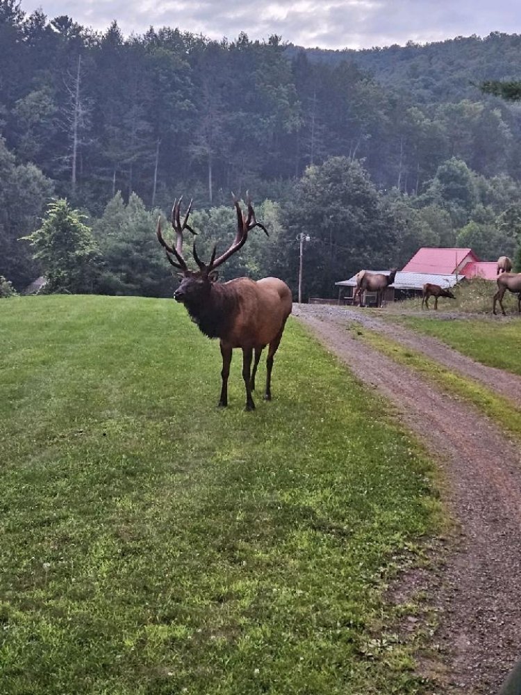 Slide of CE Campbell Plumbing & Heating