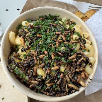 Dad's Luncheonette - Mac n cheese - New American Near Me - Half Moon Bay, California Dad's Luncheonette - Mac n cheese - New American Near Me - Half Moon Bay, California
