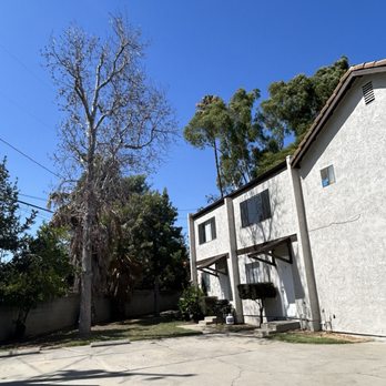 Raymundo Tree Service - Tree Services Near Me