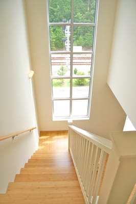 Festival Park by null