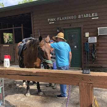Pink Flamingo Stables - Horseback Riding Near Me - Lake Worth, Florida