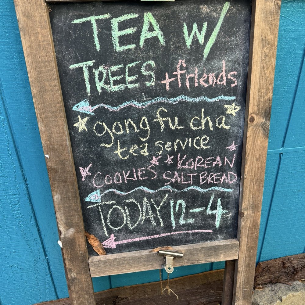 Two Trees Tea House - Super cute plan store next door - Tea Rooms Near Me - Occidental, California