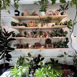 Plant Slut