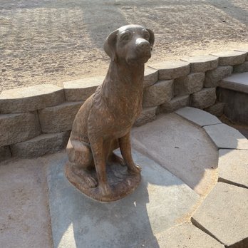Yuma Dog Park - Dog Parks Near Me - Yuma, Arizona Yuma Dog Park - Dog Parks Near Me - Yuma, Arizona