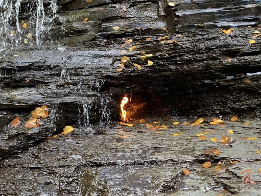 Chestnut Ridge Park by null