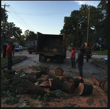 Emergency Services - With Family Tree Service you can expect professional tree care, fair pricing, great knowledgeable personnel and professional equipment Emergency Services - With Family Tree Service you can expect professional tree care, fair pricing, great knowledgeable personnel and professional equipment