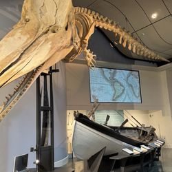 Whaling Museum