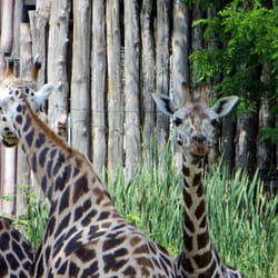 Schaufenster des Leipziger Zoos